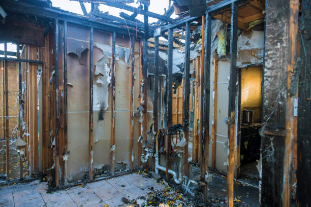 Professional Odor Removal technician working in Circle Pines, MN