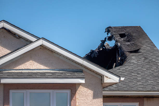 Top rated local Odor Removal specialists in Circle Pines, MN