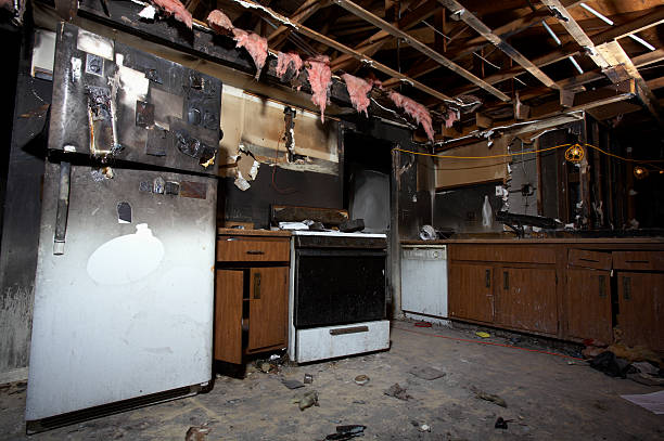 Licensed Odor Removal service in Circle Pines, MN - Fire Damage Laser Cleaning